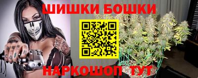 индика Будённовск