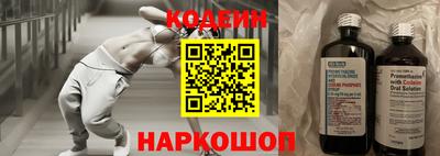 индика Будённовск