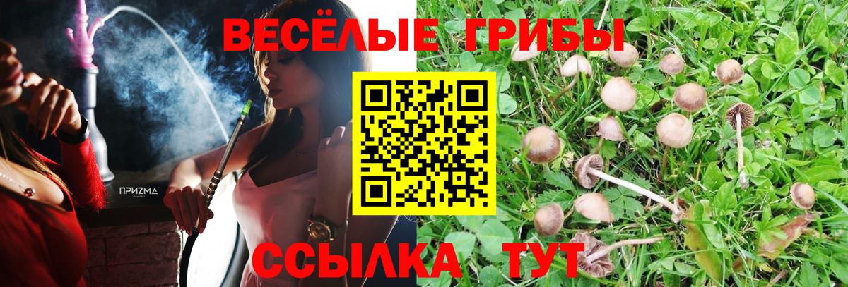 Псилоцибиновые грибы Magic Shrooms  Вход с VPN  Можга 