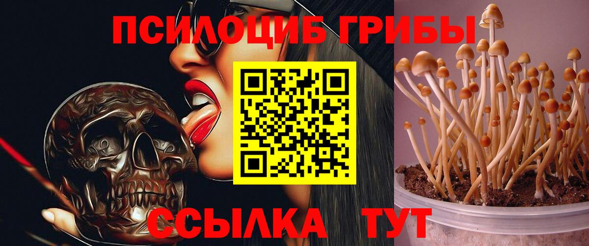 Галлюциногенные грибы мицелий Можга